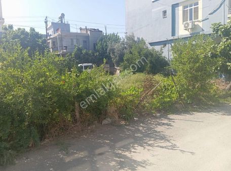 Küçük Dikili De Arsa