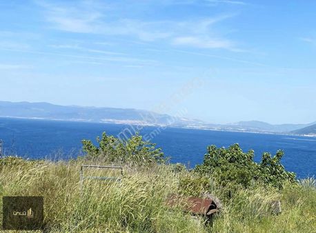 Mudanya Altıntaş Da Full Deniz Manzaralı Satılık Tarla
