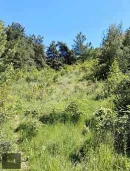 Mudanya Altıntaş Mah Satılık Tarla Full Deniz Manzaralı