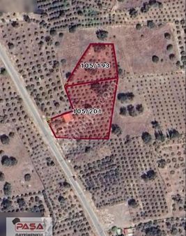 Söke De Satılık Doğanbey De Yola Sıfır Zeytınlık