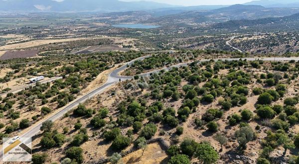 Sümbültepe'de Muhteşem Manzaralı Satılık Tarla