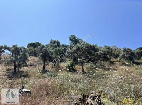 Garipoğulları Gayrimenkul'den Güllük'de Satılık Arsa...