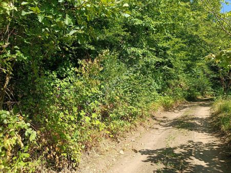 İki Parsel Yola Cephe Arazi