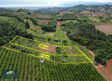 İznik Gürmüzlü'de Satılık 9.135 M² Düz, Su Sorunsuz, Köye Yakın