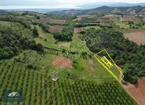 İznik Gürmüzlü'de Satılık 1588 M² Düz, Su Sorunsuz, Köye Yakın