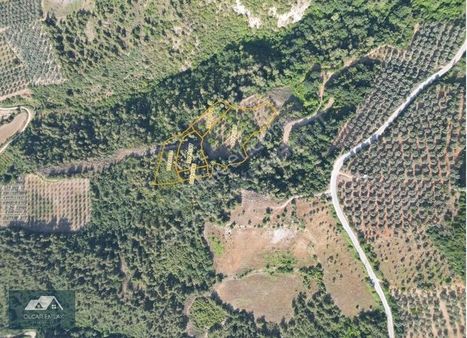 İznik Çiçeklide Satılık 9083 M² Tarla,meyvalık ,göl Manzaralı