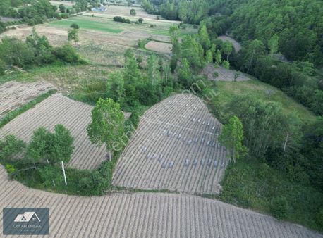 İznik Sansarak Köyünde 390 M² Hobi Bahçesine Uygun Tarla