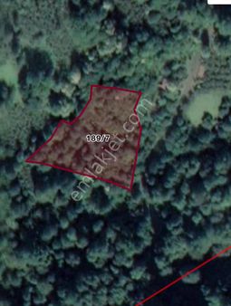 Doğanın İçinde 2 Arazi Fındıklık