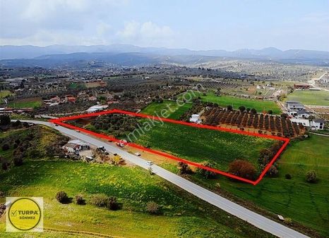 Turpa Sönmezden Dereköy Anoyola Cepheli Müstakil Tapulu Arsa