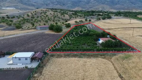 Mevsim Gayrimenkulden Sedeftepe Göl Manzaralı Harika Bahçe