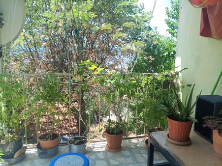 Körfez Atalar Da Satılık Müstakil Ev