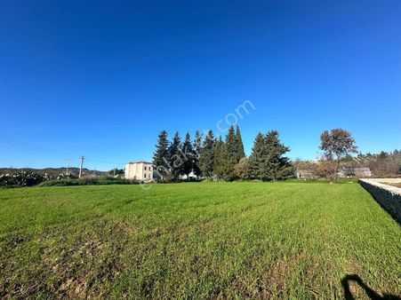 Startkey Pelit Kızlan Mh.resmi Yola Cepheli 1722 M2 Tarla