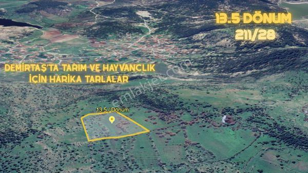 İzmir Dikili Demirtaşta 13.593 M² Yatırımlık Tarla Pazarlıklı