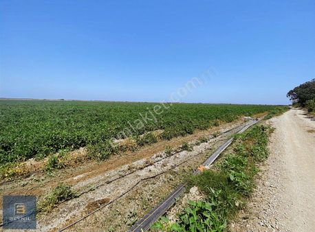 Beynil'den Karacabey Boğazköy'de Satılık 5041 M2 Tarla