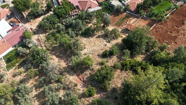 Muğla Menteşe Kuyucak'ta Satılık Ev Ve Tarla