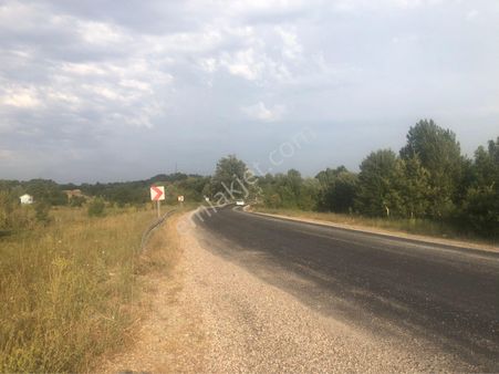 Bursa İnegöl Gündüzlü Asfalt Yola Cephe 20700 Metrekare Arazi