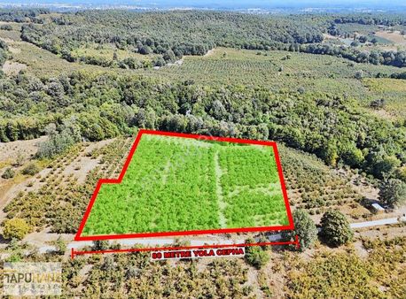 Tapuhane'den Şeyhlerde 9 Dönüm Satılık Fındıklık