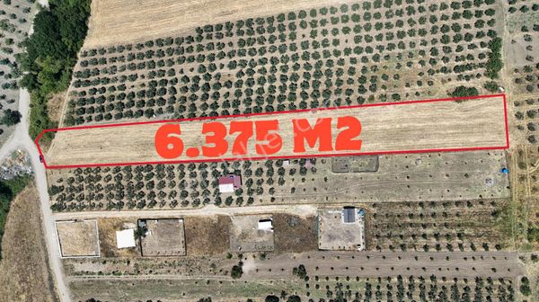 Mudanya Ülkü Köy'de Yatırımlık Tarla​