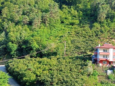 Akçaabat Kavaklı’ Da Satılık 2679 M2 Yatırımlık Fırsat Arazi