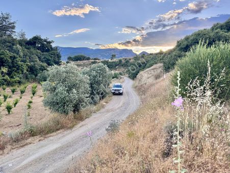 S.kayadibinde 7.850 M2 Tarla , Resmi Yola 170 Mt Cepheli