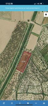 Rota’dan | Satılık Fırsat Zeytinlik