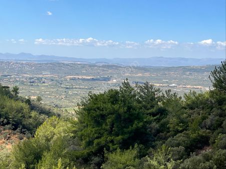 Torbalı Dirmil Mah Aileden Bölünme 16354 M2 Satılık Zeytinlik