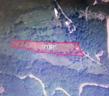 Kocaeli Başiskele Servetiyecami Mah: Kiraz Pınar Mavkiin De 6.400m2, Satılık Bahçe