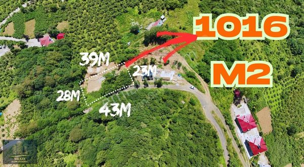 Ev Yeri Açılmış İstinat Duvarı Yapılmış 1016 M² Satılık Arsa