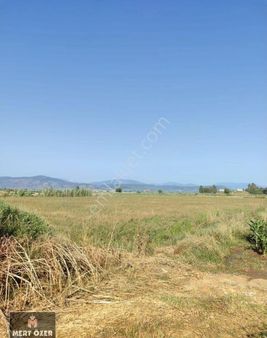 Muğla Milas Avşar'da Harika Konuma Sahip 6829m2 Satılık Tarla