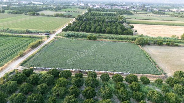 Güzelköy Mahallesinde Satılık 4 Dönüm Tarla