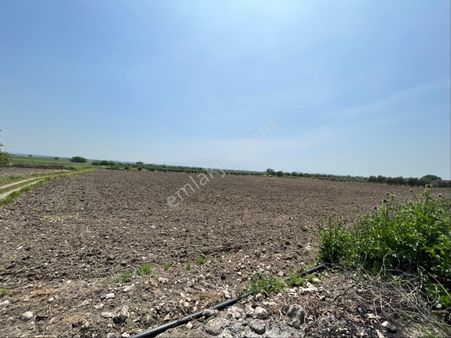 Kw'den Kalemli Köye Yakın,resmi Yolu Olan Verimli Satılık Arazi