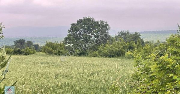 Gönen Babayaka Mevkii Nde 7.200 M2 Yatırımlık Fırsat Tarla (araç Takası Değerlendirilir)