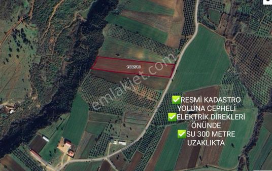 13 Dönüm Resmi Yola Cephe Bursa Karacabey Keşlik Köyünde Çiftlik Arazisi