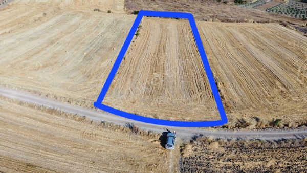 Alp Yapı Emlak'tan Gönen Turplu Mah.satılık Tarla