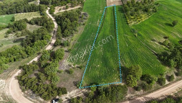 Efendi'den Taraklı Hacıalilerde Yatırımlık Arazi