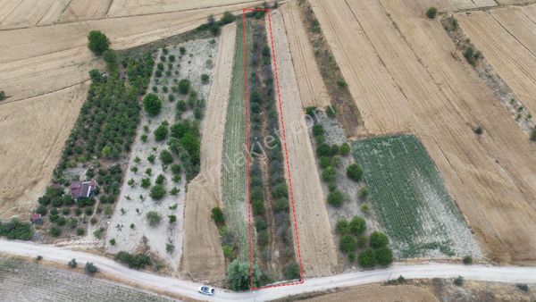 Kazanç Ve Huzur Bir Arada:hazır Altyapılı Vişne Bahçesi