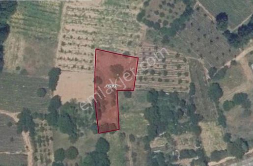 Köy Yerleşiminin Dibinde 1.869 M2 Bursa İnegöl Kurşunlu'da Hobi Bahçesi