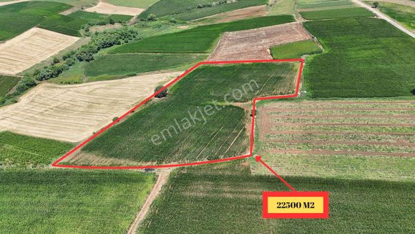 Çalışkanlar Group Gyo'dan Satılık 22500 Harika Tarım Arazisi