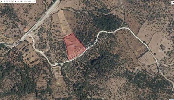 125metre Yol Cepheli, Bölgenin En Değerlisi,köye 500 Metre Acil!