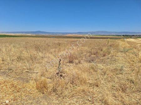 Odunpazarı Karaçay'da 9.000 M² Mükemmel Konumda Yatırımlık Tarla!