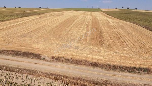 Havsa Oğulpaşa Da Yatırımlık Tarla