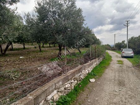 Uzun Emlak'tan Saruhanlı Çakmaklı'da Konut İmarlı Köyiçi Arsa