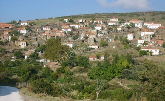 İzmir Karaburun Yaylaköyde Satılık Elektrik Ve Su Olan Fırsat Arazi
