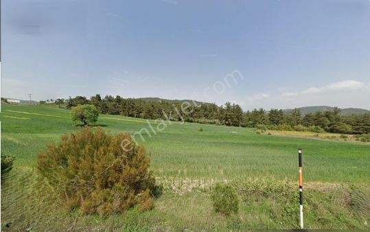 Sakarya Taraklı Hacıyakupta 1.905m² Doğa İçinde Yatırımlık Arsa