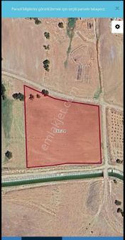 Üngüzek Te 1.sınıf Tarım Arazisi