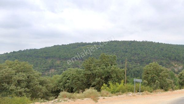 Kaçırılmayacak Fırsat! Balıkesirde 17 Dönüm Geniş Arazi