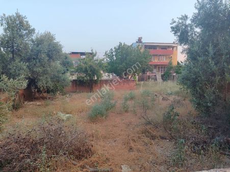 Nazilli Çapa Hasanda Yola Cepheli İmarlı Arsa