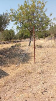 Çıtakta Satılık Tarla