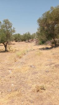 Çıtakta Satılık Hobi Bahçesi