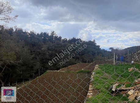 Uşak Köy İçi İmarlı Satılık Arsa